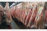 همشهریان گرامی با اطمینان کامل مصرف کنند :گوشت های وارداتی تحت نظارت کامل دامپزشکی است